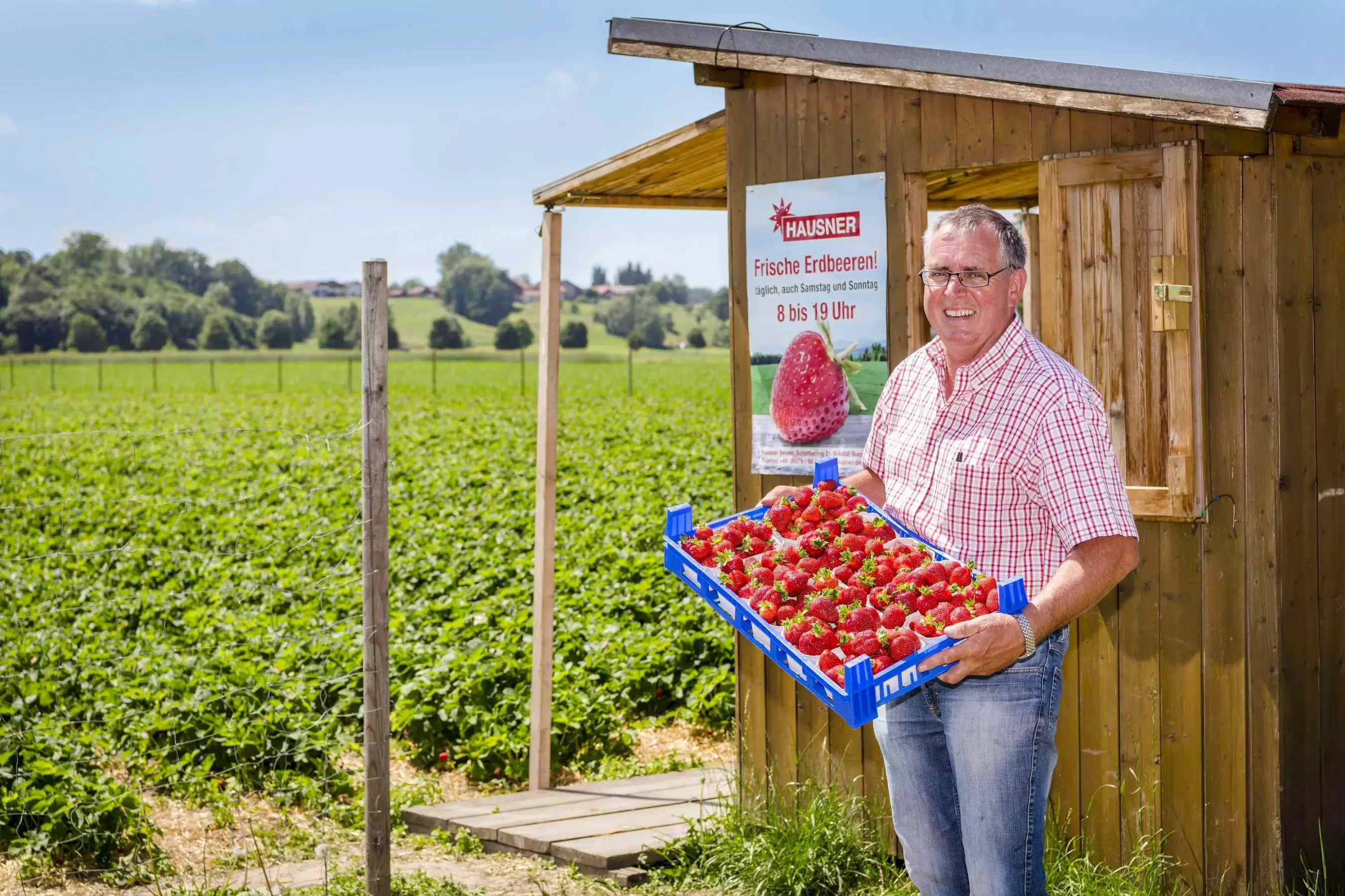 Hausner Erdbeeren Selbstpflücker Felder