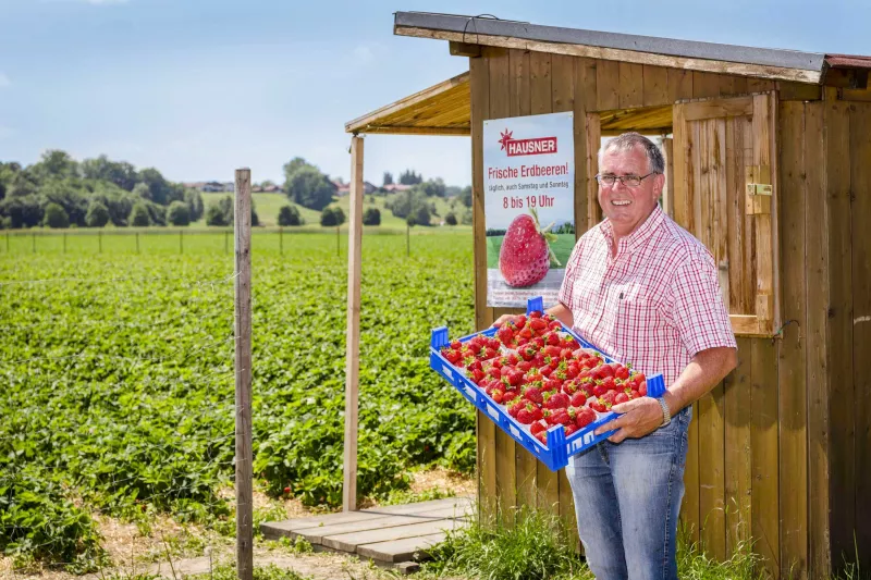Hausner Beeren Burgkirchen | Erdbeeren, Spargel & Hofladen