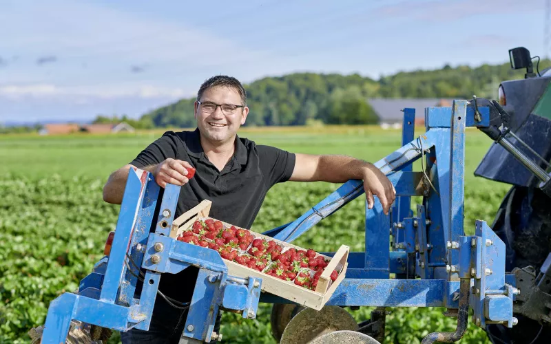 Hausner Beeren Burgkirchen | Erdbeeren, Spargel & Hofladen