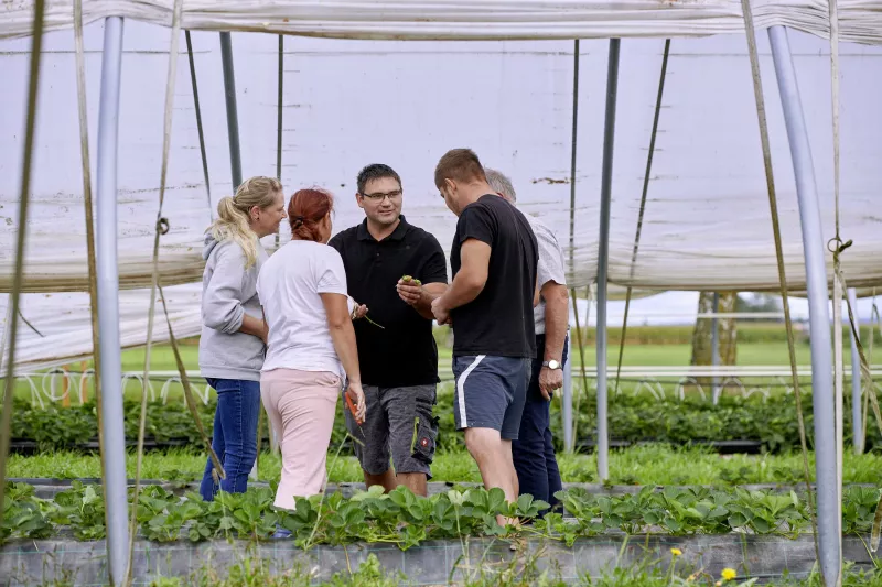 Hausner Beeren Burgkirchen | Erdbeeren, Spargel & Hofladen